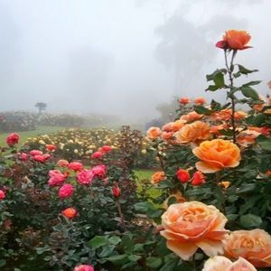 Meet your Posher, Maryam